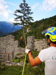 Podiranje in spravilo smreke po delih